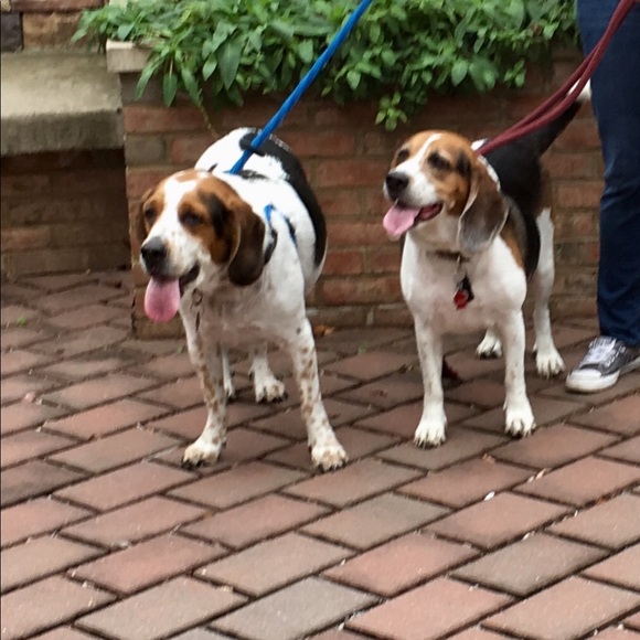 Meet your Posher, Toni - Picture 6 of 8